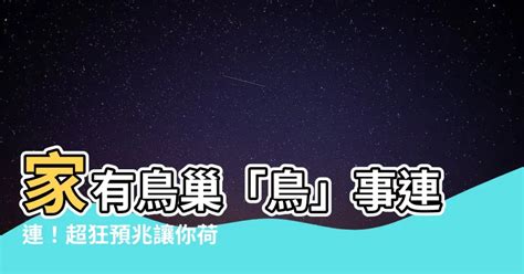 家裡鳥巢|【家有鳥巢】家有鳥巢，居家風水亨通！揭開野鳥築巢。